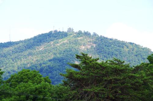 a mountain with trees in front of it at American Motel - Lenoir in Lenoir