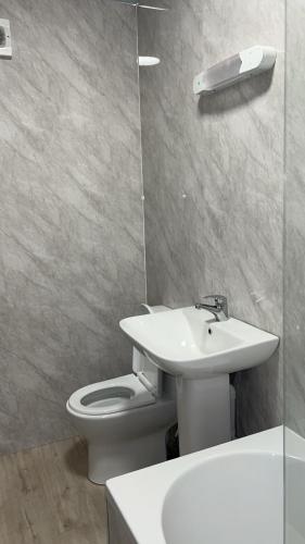 a bathroom with a sink and a toilet and a mirror at QueensBerry Hotel in Annan
