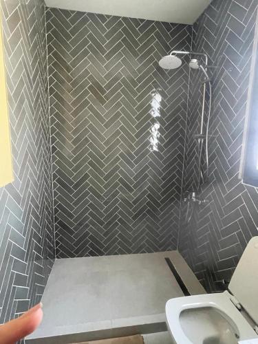 a bathroom with a shower and a toilet at Almaza Bay in Alexandria