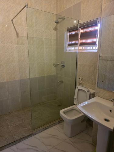 ein Badezimmer mit Dusche, Toilette und Waschbecken in der Unterkunft 1118 Serenity Residence in Abuja