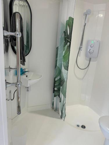 a bathroom with a shower and a sink at Modern Spacious Crawley Studio in Crawley