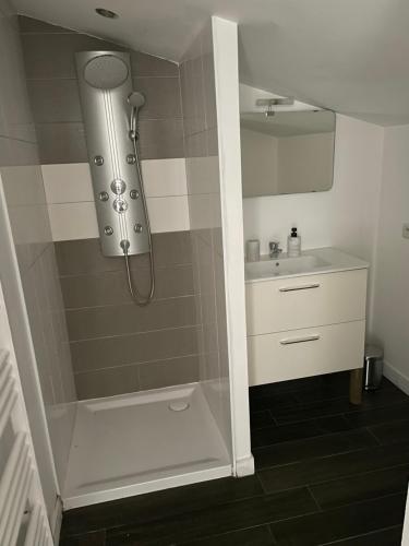 ein Badezimmer mit Dusche und Waschbecken in der Unterkunft Maison en campagne in Mortagne-sur-Sèvre