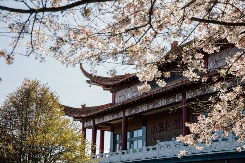 a building with cherry blossoms in front of it at Holiday Inn Vancouver Airport Richmond by IHG in Richmond
