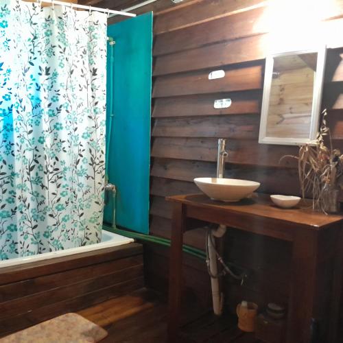 a bathroom with a sink and a shower at Cabaña los sauces in Tigre