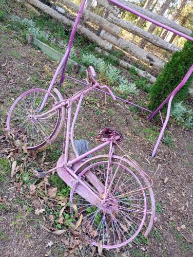 a pink bike is sitting in the grass at Retiro dos Cedros - Quarto Vinhas in Fogueira