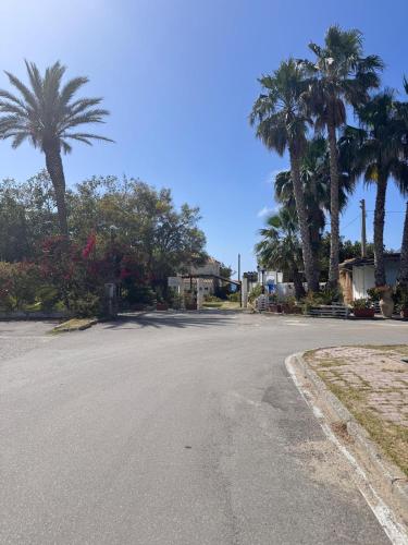 an empty street with palm trees on the side at VILLA MARIA ELENA Charme B&B in Capo Vaticano