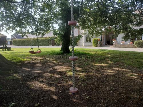 two swings hanging from a tree in a yard at Coolanowle Self Catering Holiday Accommodation in Carlow