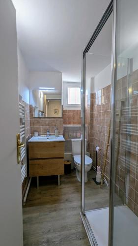 un baño con lavabo e inodoro en Gîte des hauts gris, en Vions