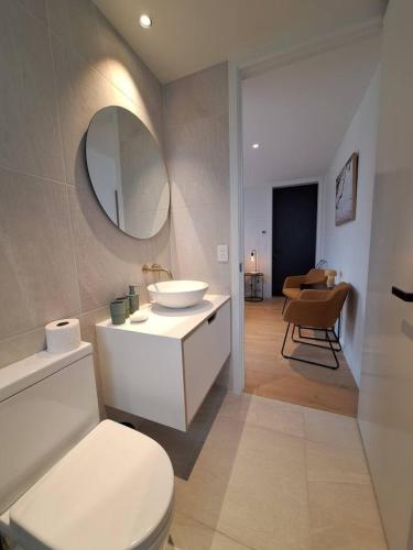 a bathroom with a toilet and a sink and a mirror at Alpine Hideaway Studio in Wanaka