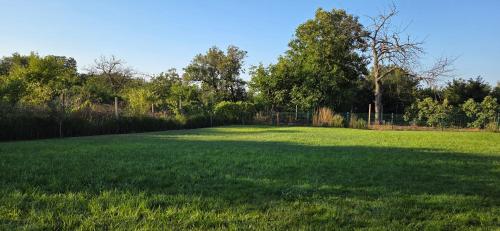 a large field of grass with trees in the background at Family House GO TO - Parking & Dog Yard in Kavarna