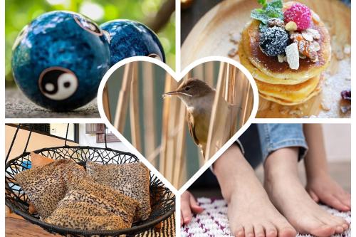 a collage of pictures with a bird in a heart at Appartement, Nature, Relaxation et Demi-Pension Possible in Crévic