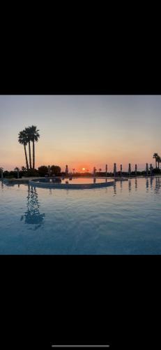 a pool of water with a palm tree and the sunset at Tale Sunset Apartament in Lezhë