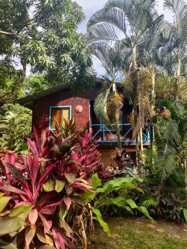 a house in the middle of a garden at La maison in Gandoca