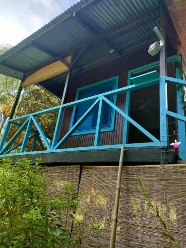 a house with blue windows on top of a brick wall at La maison in Gandoca