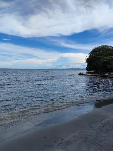 a large body of water with a tree on the shore at La maison in Gandoca