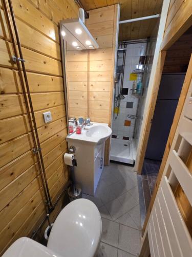 a bathroom with a toilet and a sink at Gîte Haut Les Cœurs - Chalet dans les Hautes-Vosges in Thiéfosse