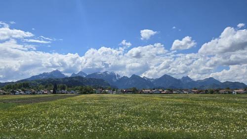a field of flowers with mountains in the background at Ferienwohnung Peter in Steingaden