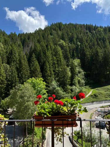 Naturlandskabet i nærheden af feriegården