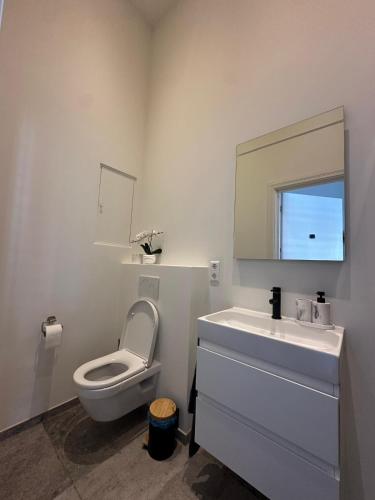 a bathroom with a toilet and a sink and a mirror at Comfortable City Break Studio in The Hague