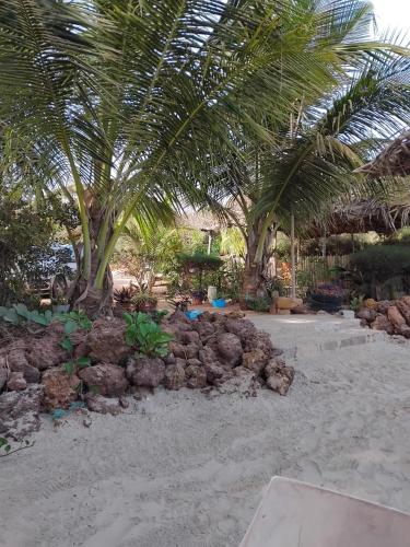 a beach with palm trees and a pile of rocks at Evergreen Eco Lodge Retreat in Tujering