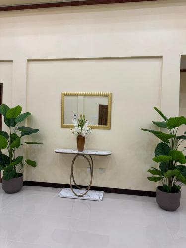 a room with two plants and a table with a mirror at International Haven Barili in Barili