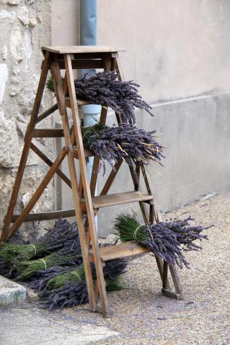 a wooden stand with a plant on top of it at Repos et Tranquillité - Super Calme de la campagne - Clim - Grande Piscine Partagée au Sel - Déco cosy tout confort in Montélimar