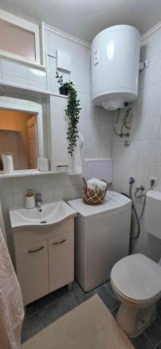 Apartment Paeonia