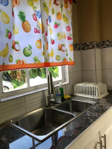 a kitchen with a sink and a window with fruit curtains at River Valley View in Beaulieu