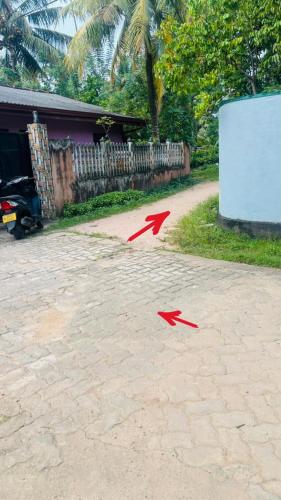 Imagen de la galería de Jungle edge, en Weligama