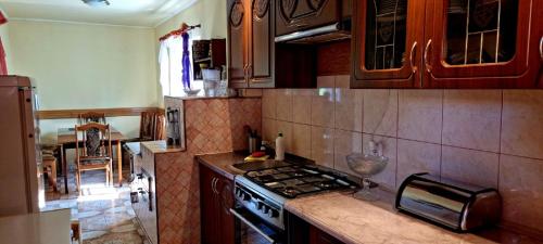 Dapur atau dapur kecil di Zielona Żabka