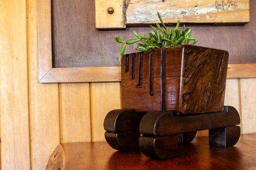 a planter sitting on a table with a plant in it at Hostal Boutique El Vergel Azul in Castro