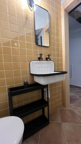 a bathroom with a sink and a mirror at La casa de la tía Guille in Medranda