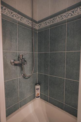 a bathroom with a shower and a bath tub at Apartman Damjanovic in Cetinje