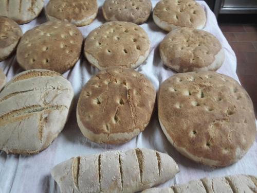 a bunch of cookies sitting on a towel at Pet-Friendly Farmhouse in Cetraro