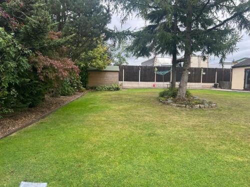 a yard with a tree and a fence at 2 bedroom bungalow, 15 minutes to Alton Towers, dog friendly in Wetleyrocks