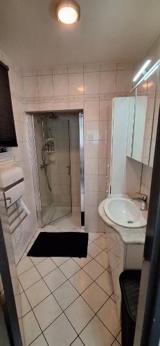 un bagno con doccia e lavandino di Chez Mado a Hatten