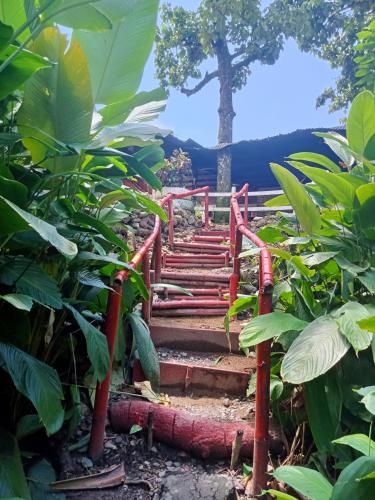 a red bridge in the middle of a forest at Finca Santa Helena in Restrepo