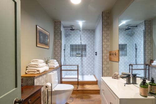 a bathroom with a shower and a toilet and a sink at Llanerchydol Hall Suites in Welshpool