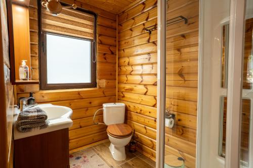 a bathroom with wooden walls and a toilet and a sink at House of Dragkol in Kastaniá