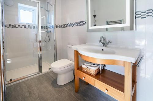 un bagno con lavandino, WC e doccia di Ty Nant a Dinas