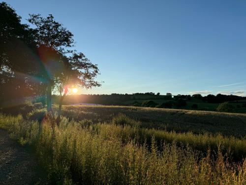 a sunset over a field with a tree in the foreground at Llanerchydol Hall Suites in Welshpool