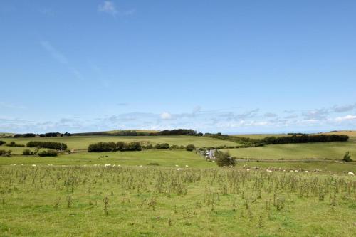 a field of green grass with sheep in the distance at Cranscombe Barn in Countisbury