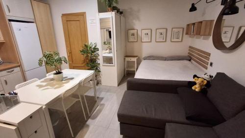 Charming Studio in La Latina