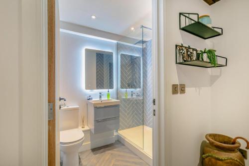 a bathroom with a toilet and a sink and a shower at Thorncliffe Mews in Bishops Tawton