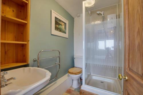 een badkamer met een douche, een toilet en een wastafel bij Wills Cottage in Lower Boscaswell