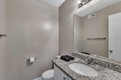 ダーラムにあるCharming King 2BR Suite in Research Triangle Parkの洗面台、トイレ、鏡のあるバスルーム