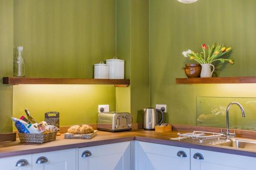 a kitchen with green walls and a counter with a sink at Sir Henry Sidney - Ludlow Castle in Ludlow