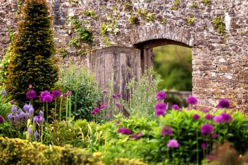 a garden with purple flowers and an old stone bridge at Llety-Cariad in Trecastle