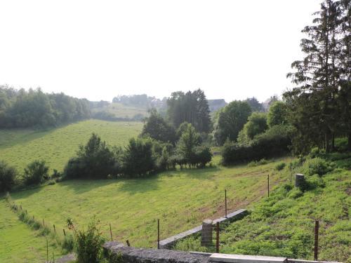 a green field with a road in the middle at Holiday Home in Couvin with Terrace in Aublain