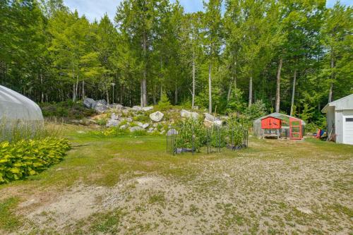 a yard with a garden with a red shed at Explore Coastal Maine! Cozy Apt with Yard and Garden in Orland